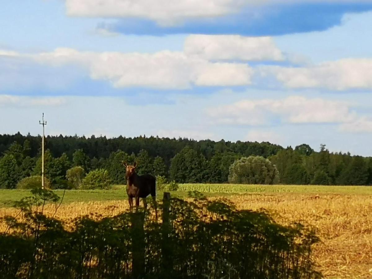 Villa Gospodarstwo Agroturystyczne "Dom Na Kolonii" à Prostki Extérieur photo